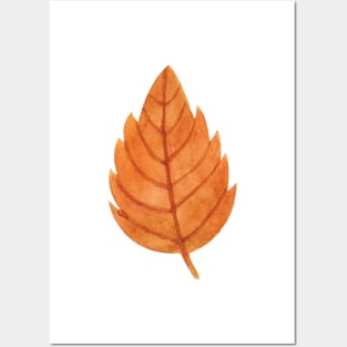 fall autumn leaf Posters and Art